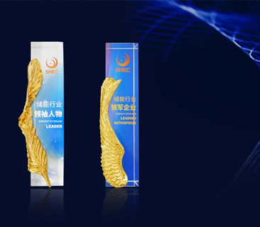 实力加冕，荣膺双誉｜88858cc永利官网获双项储能行业权威声誉认证